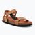 Sandale Scholl Heaven Ad Med brown