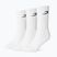 Șosete pentru bărbați Boxraw Crew 3 szt. White