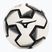 Minge de fotbal Mizuno Fuji TR H size 5 white/black