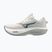 Încălțăminte de alergare pentru bărbați Mizuno Wave Rider 30 foggy dew/dark slate/white