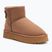 Ghete de zăpadă pentru femei O'Neill Besiana Platform Mid warm taupe