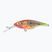FishTank Charlie Charlie Papagal wobbler PRD-CH5F-PR