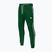 Pantaloni de trening pentru bărbați Pitbull West Coast Bandă Logo Terry Group verde