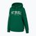 Hanorac pentru femei Pitbull Tyrian Hooded green