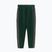 Pantaloni pentru bărbați Pitbull Track Pants Powers bottle green