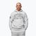 Bluză pentru bărbați Pitbull Badger Hooded grey/melange
