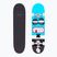 Skateboard clasic Fish Skateboards Pro Bart 8.0"
