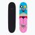 Skateboard clasic Fish Skateboards Pro Paul 8.25"
