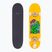 Skateboard clasic Fish Skateboards Beginner Superior 8.0"