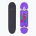 Skateboard clasic Fish Skateboards Beginner Huron 8.0"