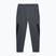 Pantaloni de antrenament pentru bărbați 4F gri 4FSS23TFTRM294-23S