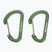 Salewa Carabiniere plate Wiregate 2 buc. verde 00-0000034103