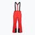 Pantaloni de schi pentru bărbați 4F Fnk M1155 red