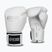 Mănuși de box StormCloud Muay Thai Blizzard 2.0 white/silver