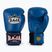 Mănuși de box RAJA BOXING Single Standard Genuine Leather blue