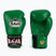 Mănuși de box RAJA BOXING Single Standard Genuine Leather green