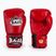 Mănuși de box RAJA BOXING Single Standard Genuine Leather red