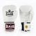 Mănuși de box RAJA BOXING Single Standard Genuine Leather white