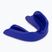 Protector de maxilar RAJA BOXING RMG blue