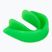 Protector de maxilar RAJA BOXING RMG green