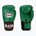 Mănuși de box RAJA BOXING Single Semi Leather green