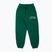 Pantaloni de antrenament pentru bărbați MANTO Varsity green MNS546_GRE