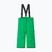 Pantaloni de schi pentru copii Reima Proxima verde 5100099A-8250
