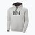 Bluză pentru bărbați Helly Hansen HH Logo Hoodie grey/melange