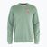 Bluză pentru bărbați Fjällräven 1960 Logo Badge Sweater misty green