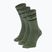Șosete SCOTT Retro Casual Crew 3 pairs tranguil green