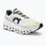 Încălțăminte de alergat pentru bărbați On Cloudmonster undyed-white/white