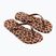 Șlapi pentru femei Ipanema Animal Print beige/bronze/bronze