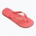 Papuci Havaianas Brasil Logo tropical coral