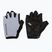 Mănuși de ciclism pentru bărbați Northwave Active Max Short Finger ice grey