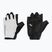 Mănuși de ciclism pentru bărbați Northwave Active Max Short Finger light grey