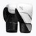 Mănuși de box Hayabusa E1 Boxing white/silver
