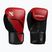 Mănuși de box Hayabusa E1 Boxing red/black