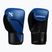 Mănuși de box Hayabusa E1 Boxing blue/black