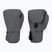 Mănuși de box Hayabusa T360 Boxing charcoal