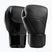 Mănuși de box Hayabusa E1 Leather black