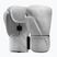 Mănuși de box Hayabusa T360 Leather white