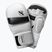 Mănuși de grappling Hayabusa T3 Hybrid white/black