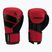 Mănuși de box Hayabusa S4 S4BG roșu S4BG