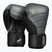 Mănuși de box Hayabusa T3 charcoal/black