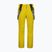 Pantaloni de schi pentru bărbați CMP 3W17397N gold green