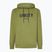Hanorac pentru bărbați Oakley PO Hoodie fern