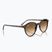 Ochelari de soare Ray-Ban Bernard havana/brown gradient