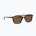Ochelari de soare Ray-Ban Leonard tortoise/brown polarized