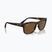 Ochelari de soare Ray-Ban RB4428 havana matte/brown polarized