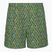 Pantaloni de trekking pentru bărbați Royal Robbins All-In algae flash pt